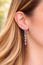 Multishape Pastel Earrings