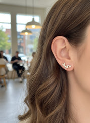 Multi Butterfly Climbers