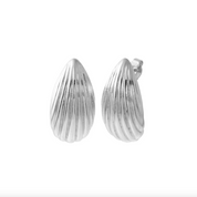 Shell Earrings