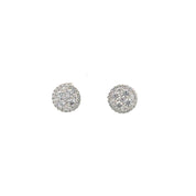 Sparkling Ilussion Studs