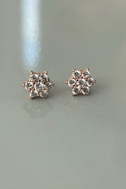 Sparkling Star Earrings