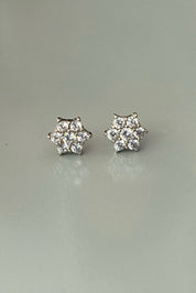 Sparkling Star Earrings